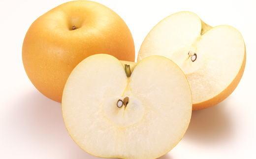 和歌山県産の梨約2kg(品種おまかせ)★2026年8月下旬頃より順次発送【TM181】