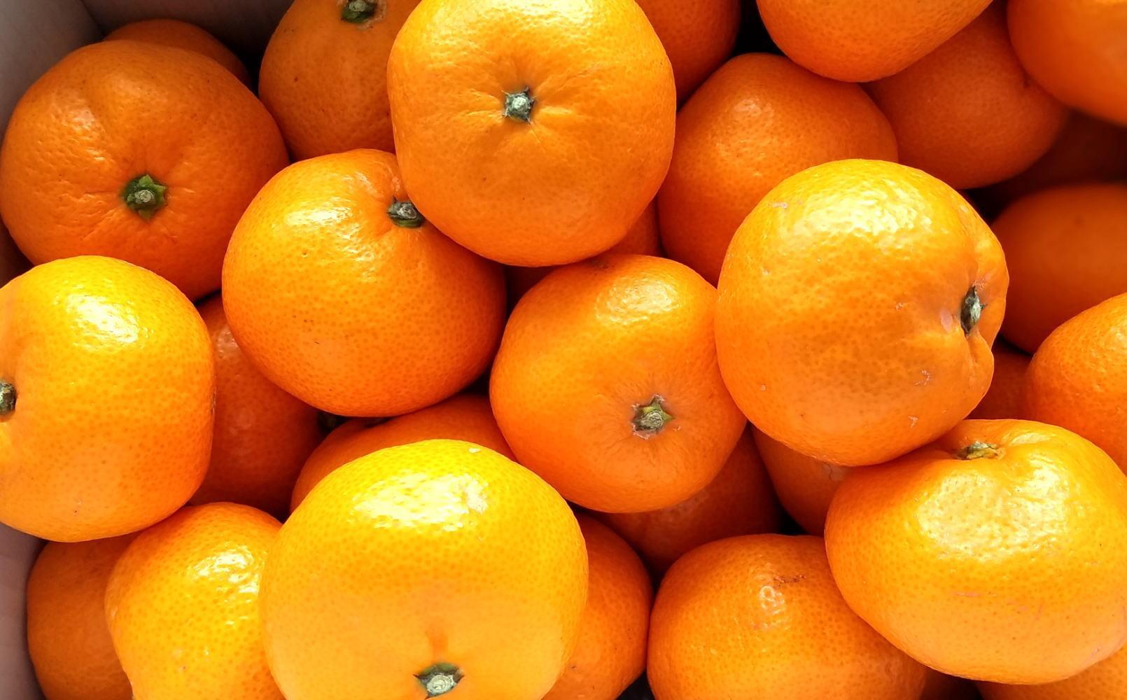 [秀品]和歌山有田みかん約5kg（S～Lサイズ混合）★2026年11月中旬頃より順次発送［TM95］