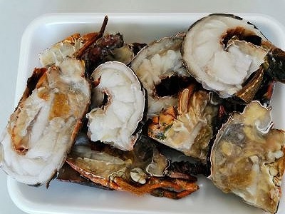 冷凍伊勢海老カット約1kg（サイズ不揃い）