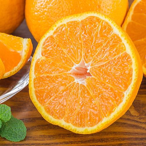 和歌山有田の濃厚デコポン 15～24玉 約5kg［先行予約］［MS78］