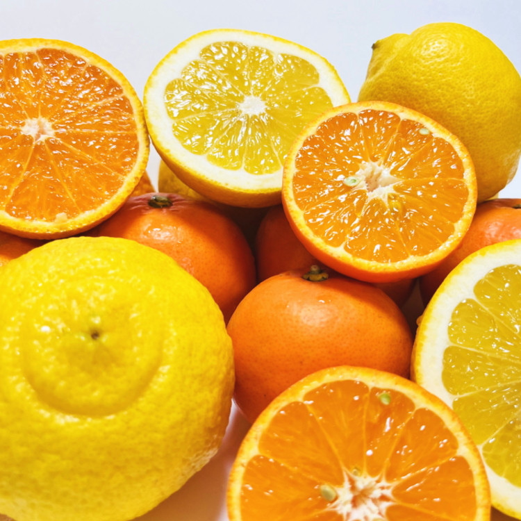 有田育ちの 旬の 柑橘 詰合せセット（ご家庭用）約2.5kg［先行予約］［MS63］