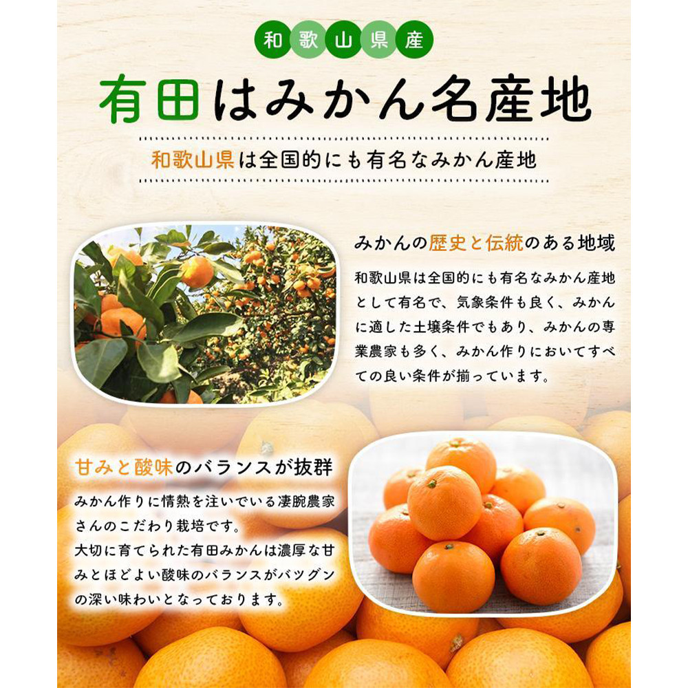 ［先行予約］ご家庭用 完熟 有田みかん 10kg［2026年11月発送予定］訳あり 農家直送［MS6-1］