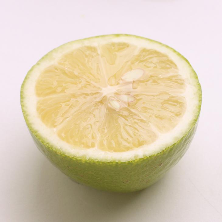 家庭用 レモン5kg+250g（傷み補償分）【和歌山有田産】【防腐剤・WAX不使用、安心の国産レモン】【わけあり・訳ありレモン】［IKE126］