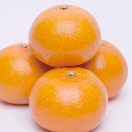 ［先行予約］厳選 せとか1kg+250g（傷み補償分）［柑橘・春みかんの王様］［光センサー選果・食べ頃出荷］［IKE60］