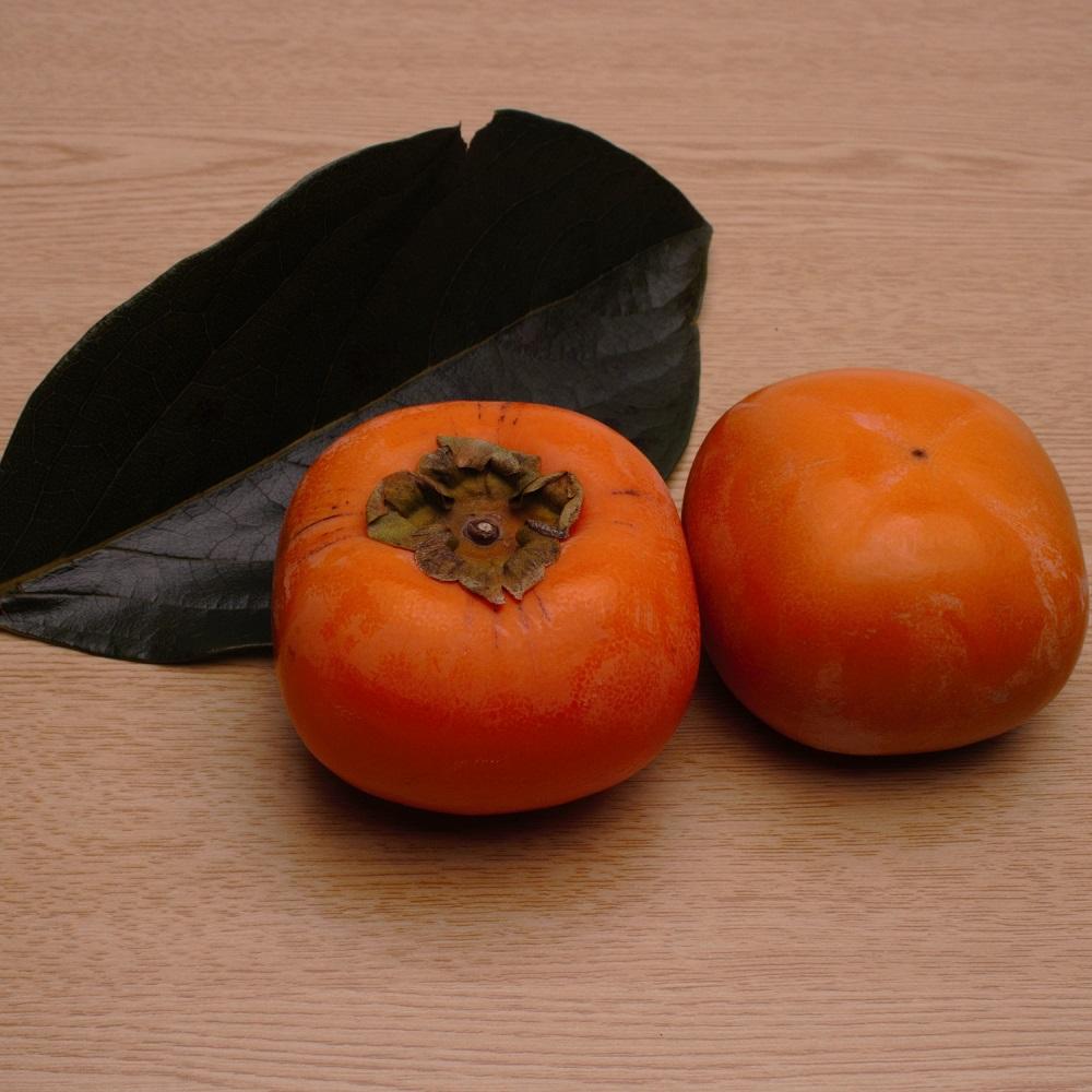 ［先行予約］厳選 たねなし柿 約2.5kg［刀根早生・平核無柿（ひらたねなしかき）］［カキ・種無柿・種無し柿・種なし柿・無核柿］［IKE95］