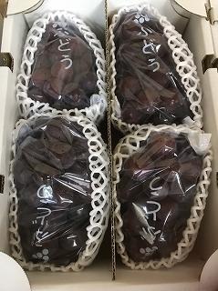 anan様4キロ山葡萄　蔓　確認用 山葡萄 つる工房鷹山 期間限定SHOP | 7階イベントスペース | 大丸神戸