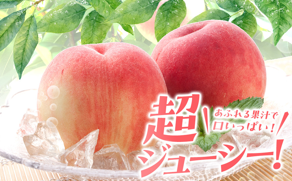 先行予約！［モモ］川中島白桃　約2kg 6～8個入［2026年7月末頃から順次発送］［秀品］こだわり農家厳選 ［KG13］