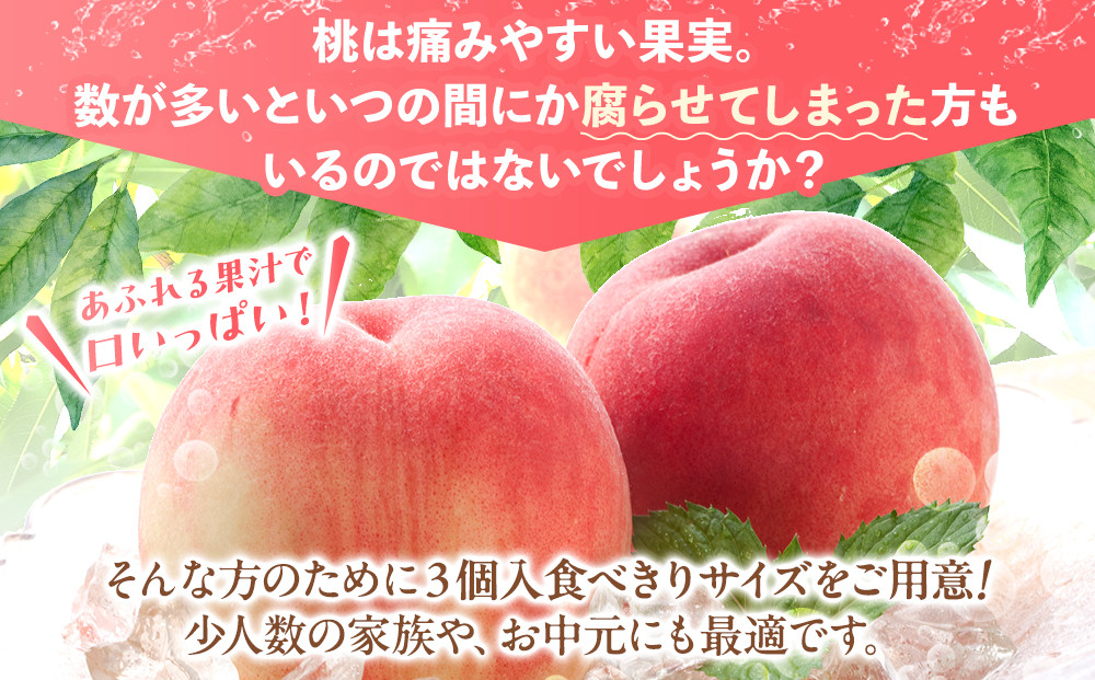 ［秀品］川中島白桃 食べきりやすい3個入り［2026年7月末頃から順次発送］こだわり 農家厳選 先行予約 モモ［KG16］