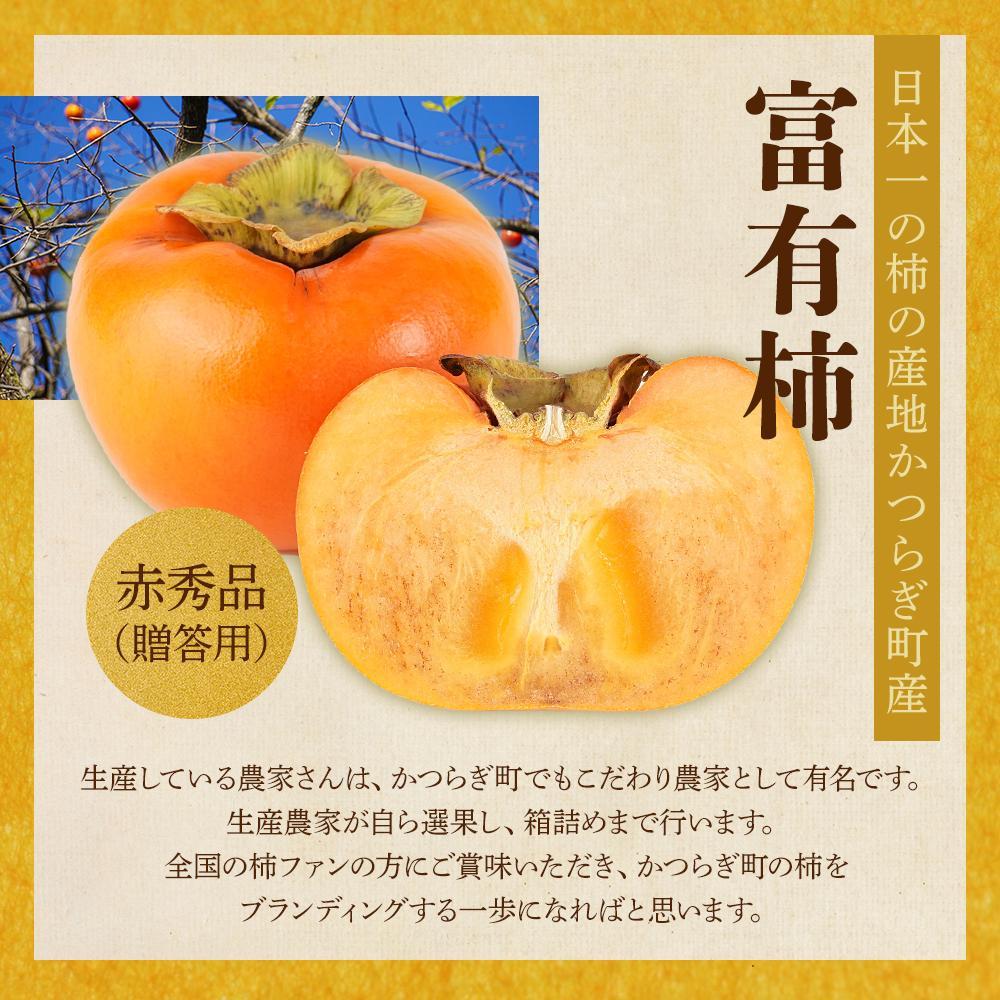 富有柿 赤秀品大玉6個～7個入 こだわり農家厳選［KG30］