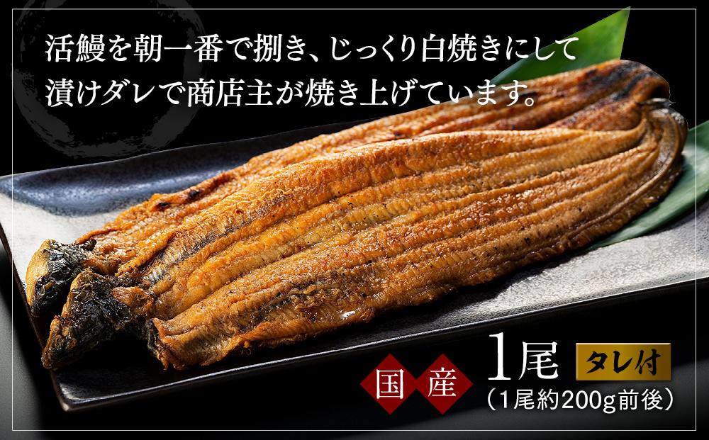 国産活鰻を地元の醤油で仕上げた絶品のうなぎ蒲焼(1尾）: 那智勝浦町