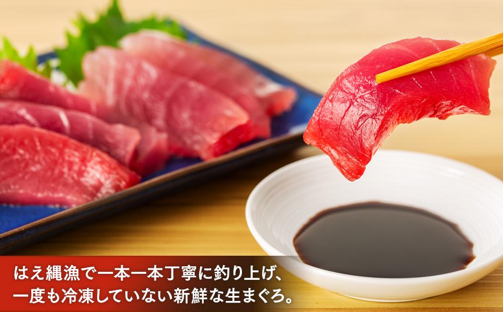 【12月末まで限定寄付額】【年内発送可】生まぐろ２種食べ比べセット　【一部離島配送不可】