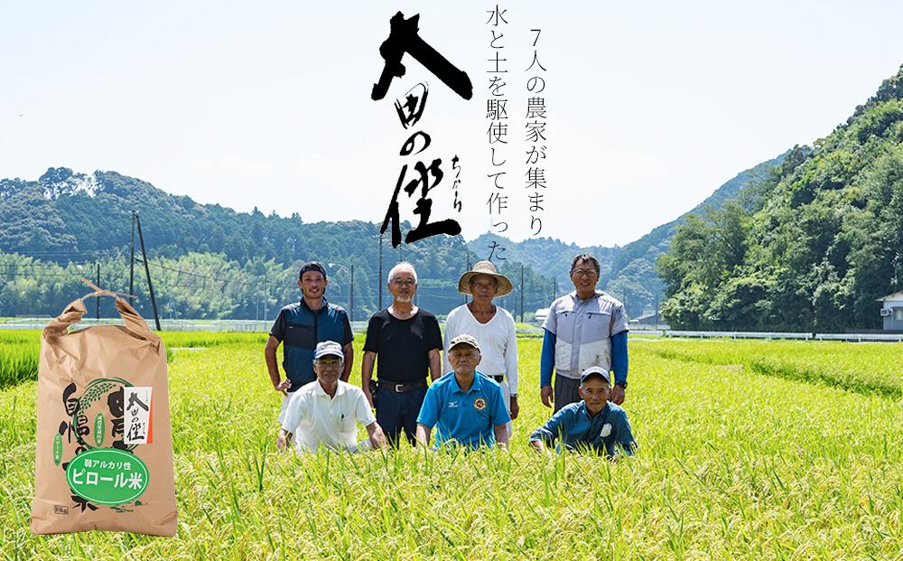 ピロール農法で作る弱アルカリ性のコシヒカリ 10kg