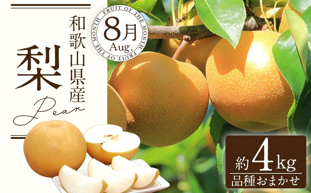 定期便全3回 【7月・8月・9月発送】 和歌山の夏のフルーツをお届け（桃・梨・たねなしピオーネ）【TM179】