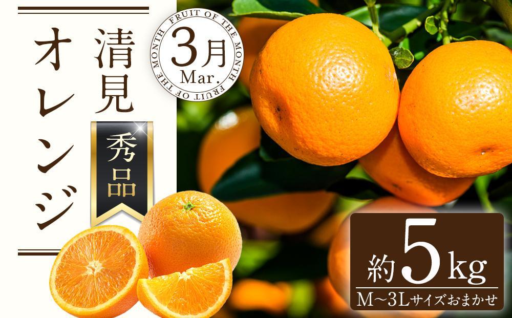 和歌山の春のフルーツ（ポンカン・清見オレンジ・セミノールオレンジ）定期便 全3回 【2月・3月・4月発送】【TM184】