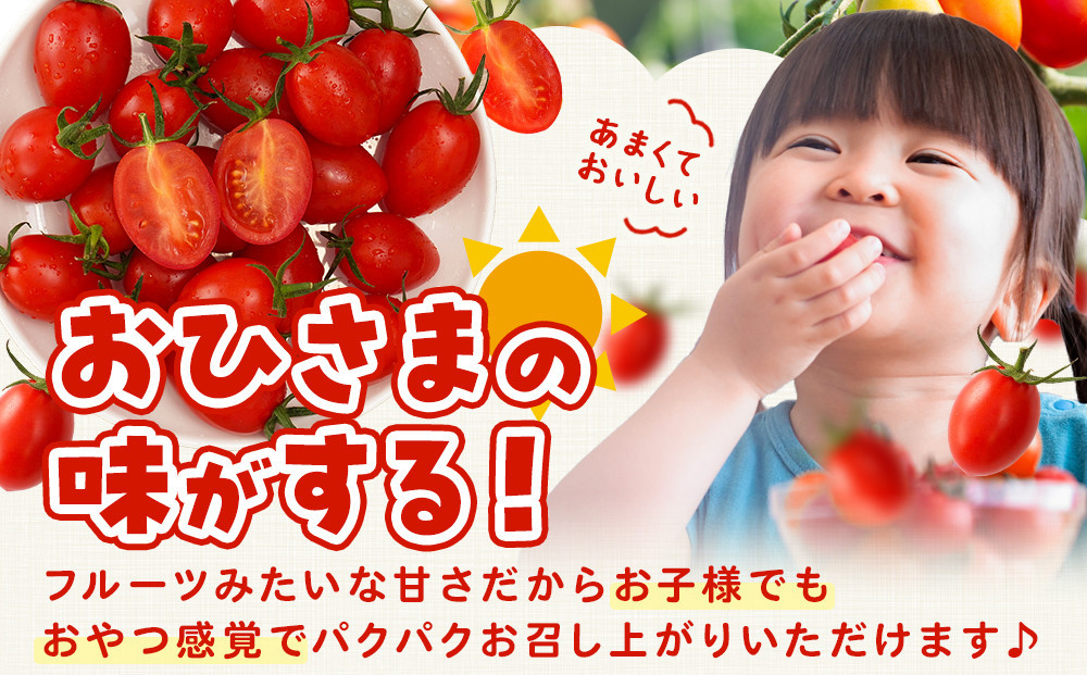 ［2026年6月出荷分］和歌山産ミニトマト「アイコトマト」約1kg（S・Mサイズおまかせ）［TM233］