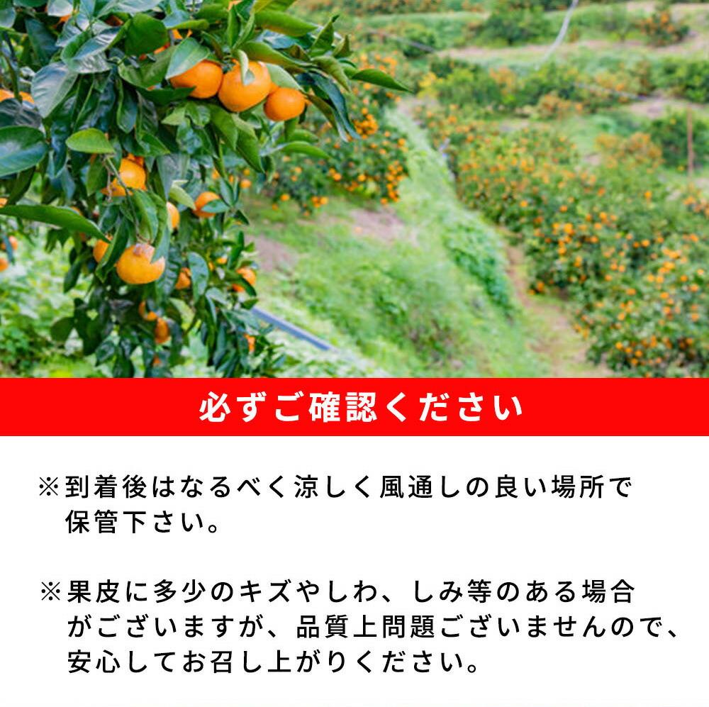 紀州和歌山有田産ゆら早生みかん　10kg［2026年発送］［UT33］