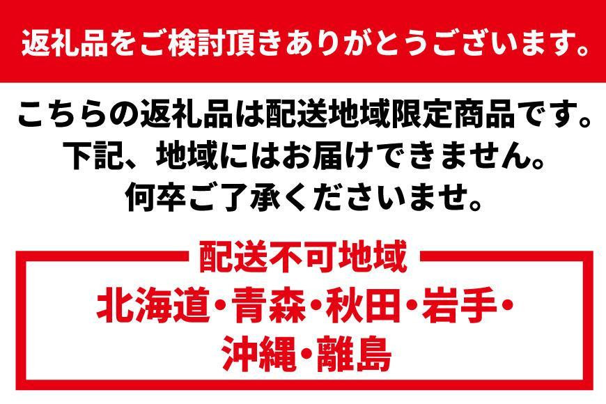 【12月末まで限定寄付額】【年内発送可】活 伊勢海老 1kg（2～4匹）南紀黒潮イセエビ 年末年始 お正月 お届け可｜期間限定 漁師直送 海鮮 海老 とれたて 人気