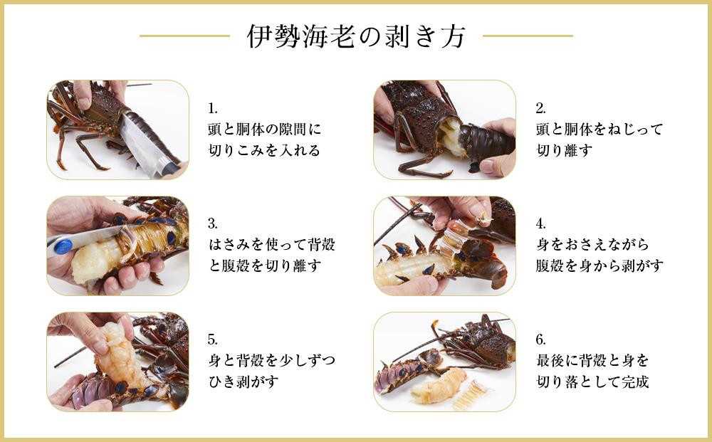 【12月末まで限定寄付額】【年内発送可】冷凍 伊勢海老1尾（約300ｇ前後）真空パック 南紀黒潮イセエビ 通年発送｜期間限定 漁師直送 海鮮 海老 とれたて 人気