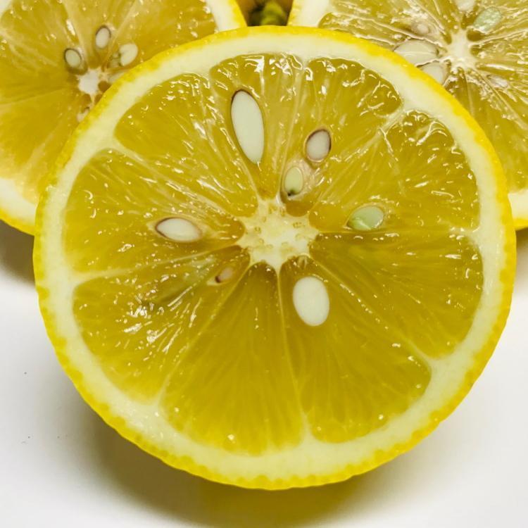 紀州和歌山 有田レモン（ご家庭用）約3kg ［先行予約］［国産］［農園直送］［ノーワックス・ノー防腐剤］［MS70］