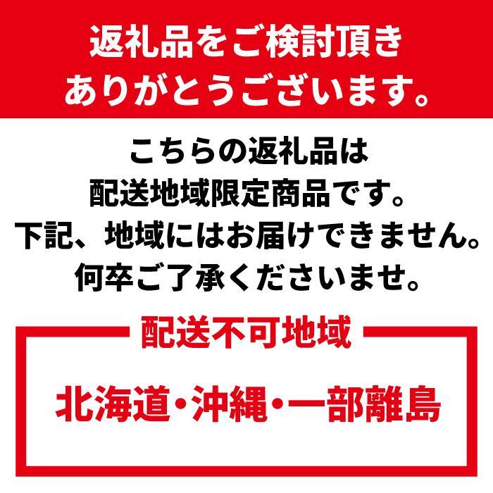わかやま旬のくだもの定期便 全6回【Ｓ】【1・3・6・7・10・11月発送 】※北海道・沖縄・離島への配送不可 S6-b
