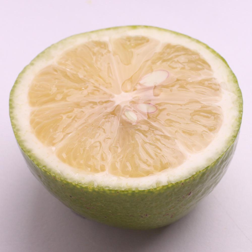 家庭用 レモン1kg+250g（傷み補償分）【和歌山有田産】【防腐剤・WAX不使用、安心の国産レモン】【わけあり・訳ありレモン】［IKE125］