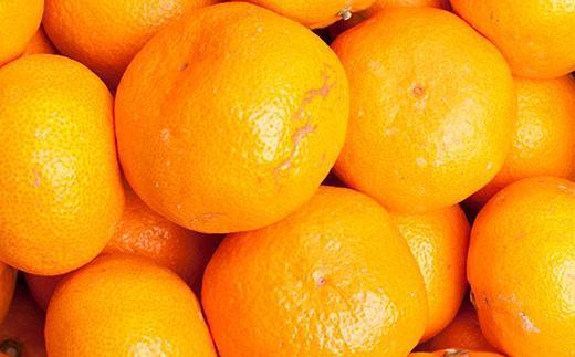 ［先行予約］家庭用 大きな有田みかん10kg+250g（傷み補償分）［2026年11月中旬から2027年1月末日頃、順次発送予定］［IKE243］