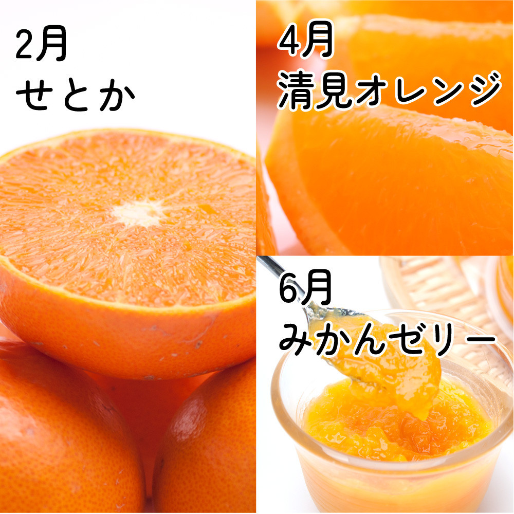 家庭用 柑橘定期便S（偶数月）全6回 ［IKE302］