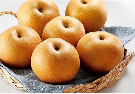 ◆先行予約◆和歌山県産 旬の梨 約4kg【2025年8月中旬以降出荷】［MG75］