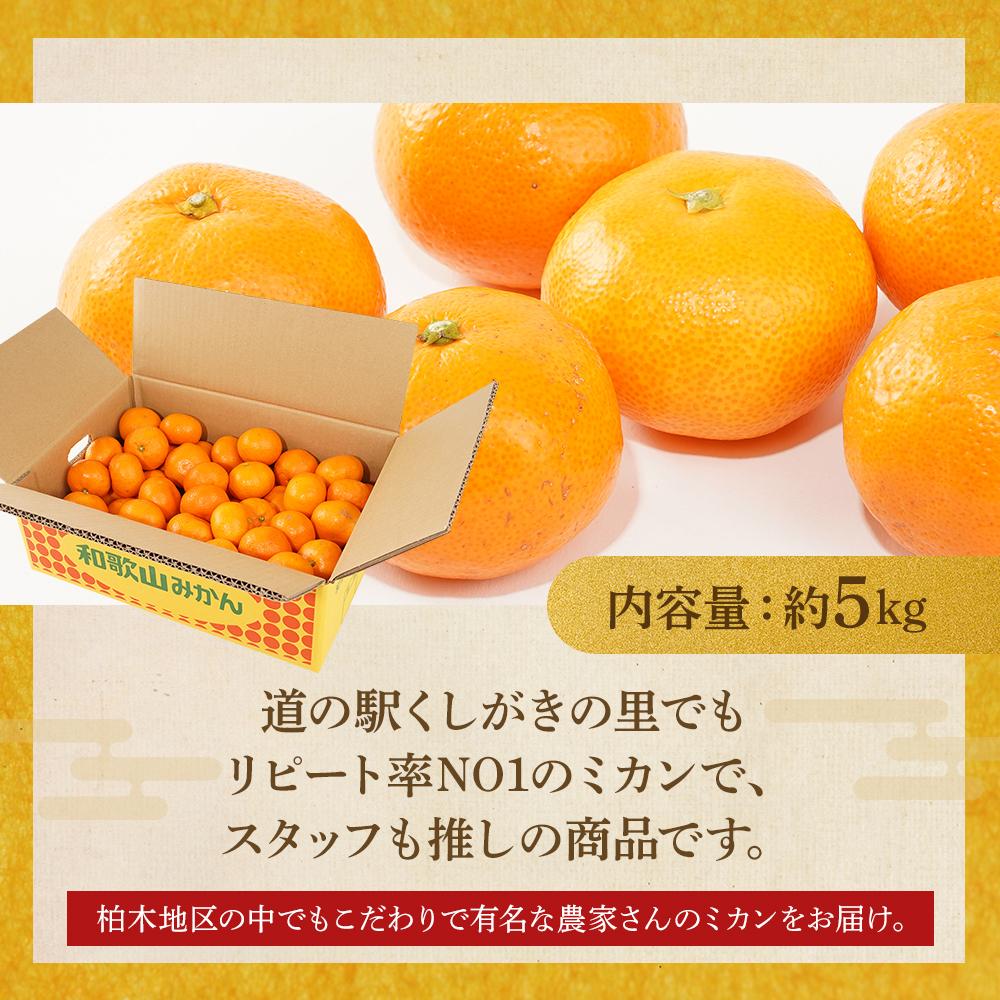 ［先行予約］［2026年11月初旬から11月末頃順次発送］ 和歌山県産温州みかん 約5kg（40個～60個）秀品 こだわり農家厳選！［KG31］