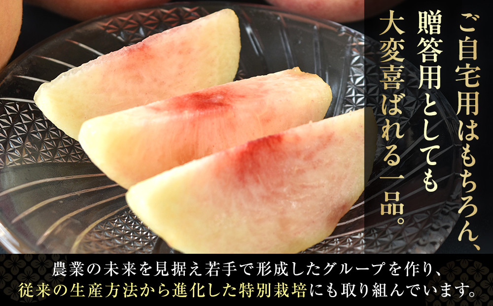 ［2026年発送分］［桃！数量限定先行予約！］川中島白桃 約2kg 6個入 100個に1個の厳選品 こだわり農家厳選！［KG33］