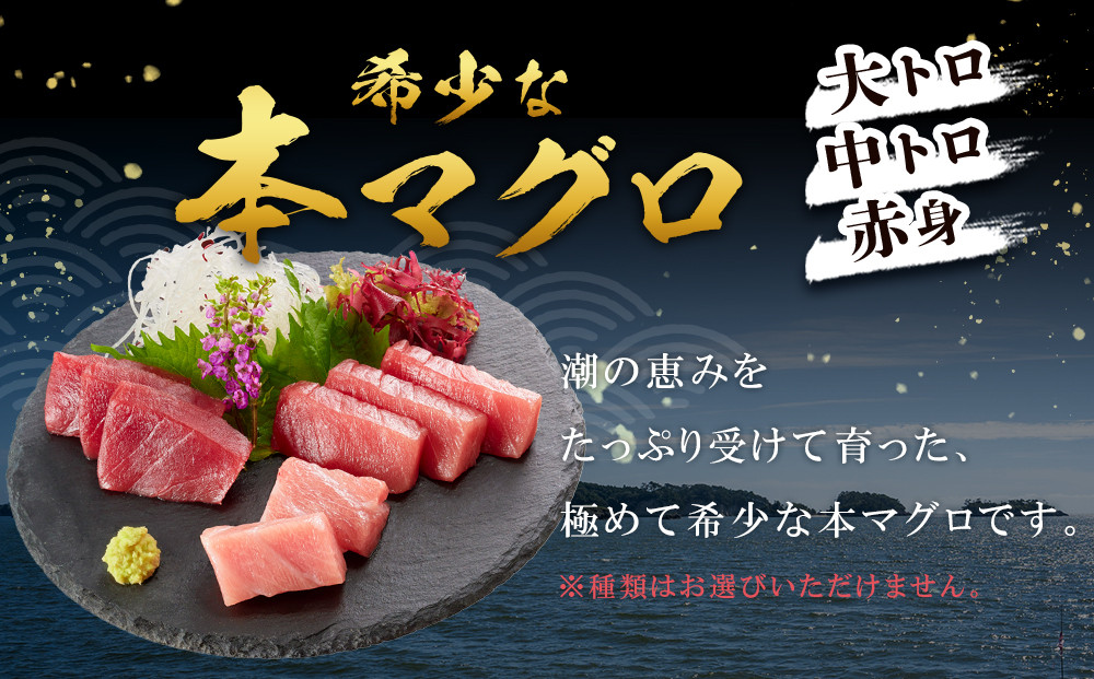 【12月末まで限定寄付額】【年内発送可】本マグロ トロ+赤身セット 500g | 【年末年始お届け可能】大トロ 中トロ 鮪 刺身 寿司 お正月