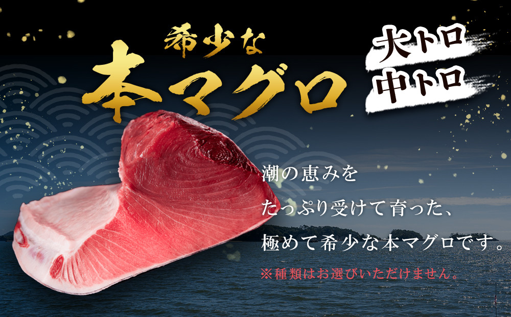 【12月末まで限定寄付額】【年内発送可】本マグロ トロセット 400g | 【年末年始お届け可能】大トロ 中トロ 鮪 刺身 寿司 お正月