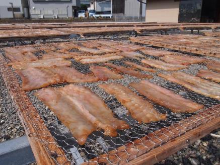 勝浦産　天日干し干物　さめのたれみりん（500g×2）