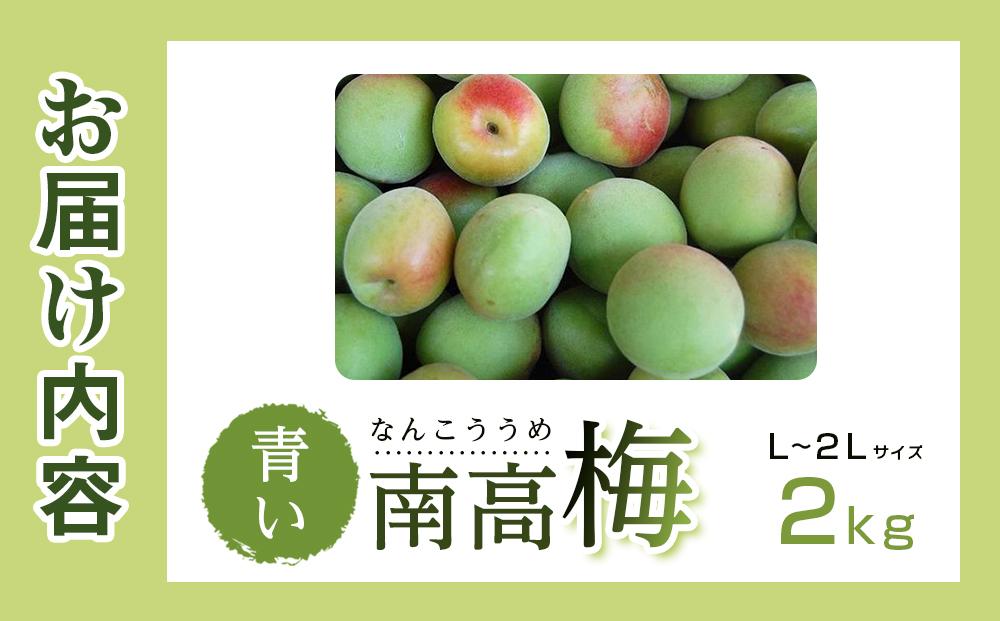 青い南高梅 2kg  L〜2L寸 紀州特産 梅酒 梅ジュースに最適！ 【先行予約：2025年6月1日以降順次発送】