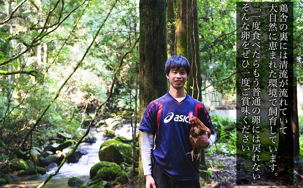 国産飼料にこだわった鶏が産む安全安心の 『レモン色たまご』1パック（10個入り）×3