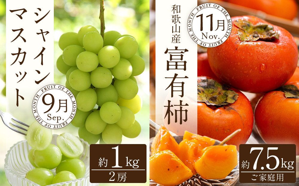 和歌山の旬の果実を 奇数月にお届け全6回定期便【TM49】