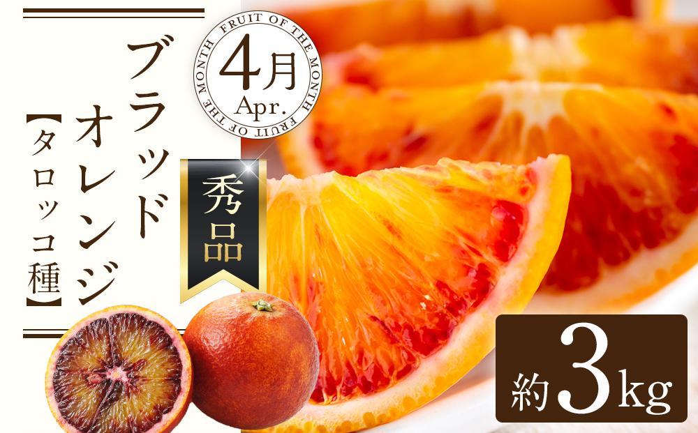 定期便全3回 【2月・3月・4月発送】 和歌山の春の柑橘 （ポンカン・はるか・ブラッドオレンジ）秀品【TM173】