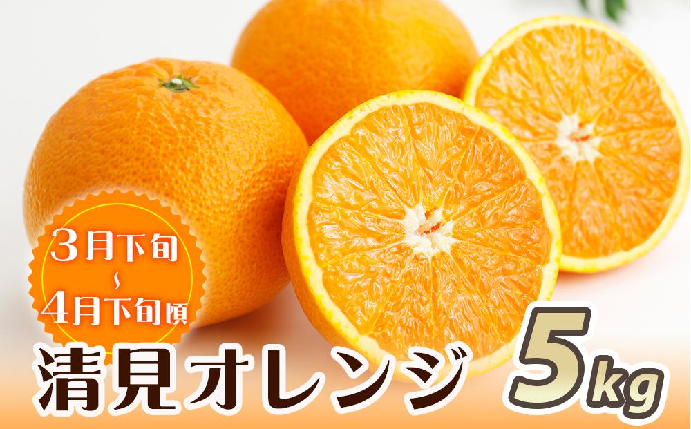 ［魚鶴商店厳選］和歌山人気の柑橘定期便（有田みかん・不知火・清見オレンジ）［定期便全3回］［UT116］