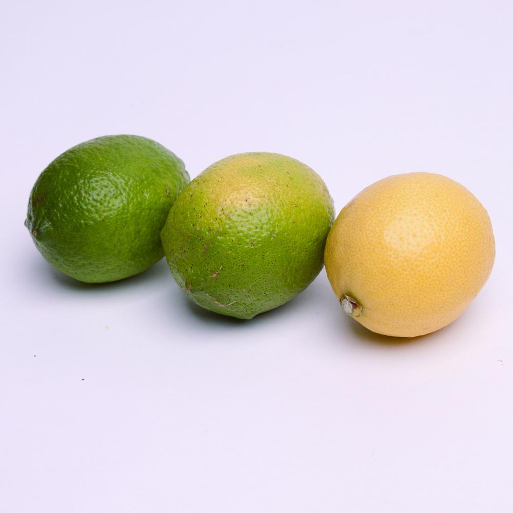 レモン2.5kg+250g（傷み補償分）【和歌山有田産】【防腐剤・WAX不使用、安心の国産レモン】［IKE127］