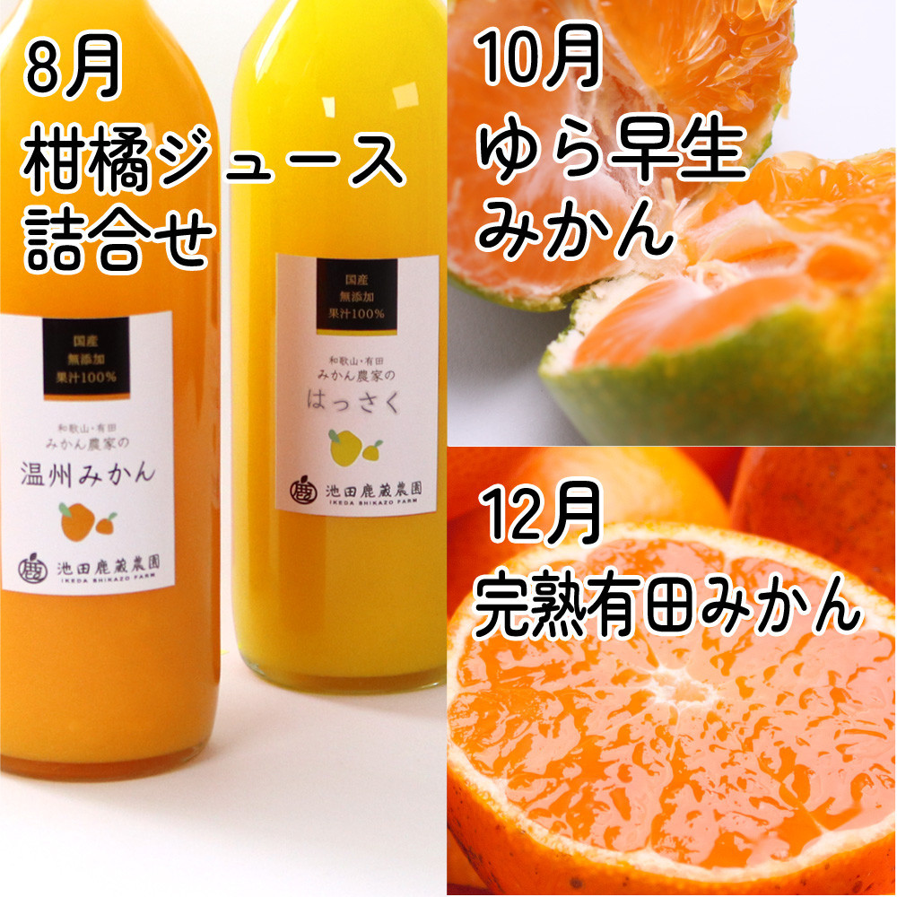 厳選 柑橘定期便S（偶数月）全6回［IKE286］