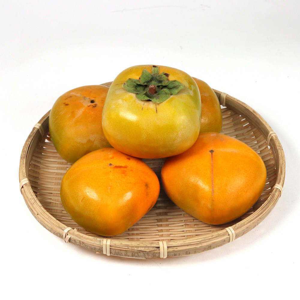 ［先行予約］家庭用 たねなし柿 約5kg［訳あり］［刀根早生・平核無柿（ひらたねなしかき）］［カキ・種無柿・種無し柿・種なし柿・無核柿］［IKE319］