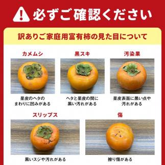 ［2026年11月上旬以降発送］◆先行予約◆和歌山県産 富有柿＜ご家庭用＞約7.5kg 満杯詰め［MG2］