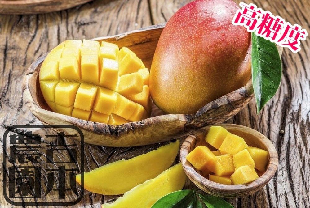 ◆先行予約◆和歌山県産 紀州完熟マンゴー『吉玉』約1kg程度／2～3玉入り【2025年7月中旬から8月下旬頃順次発送予定】［MG20］