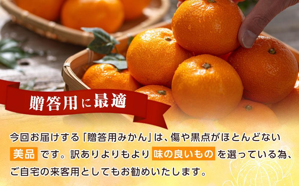 和歌山県産 糖度 12.5度以上 秀品 贈答用 みかん 3kg 3S～L サイズ混合［MG54］