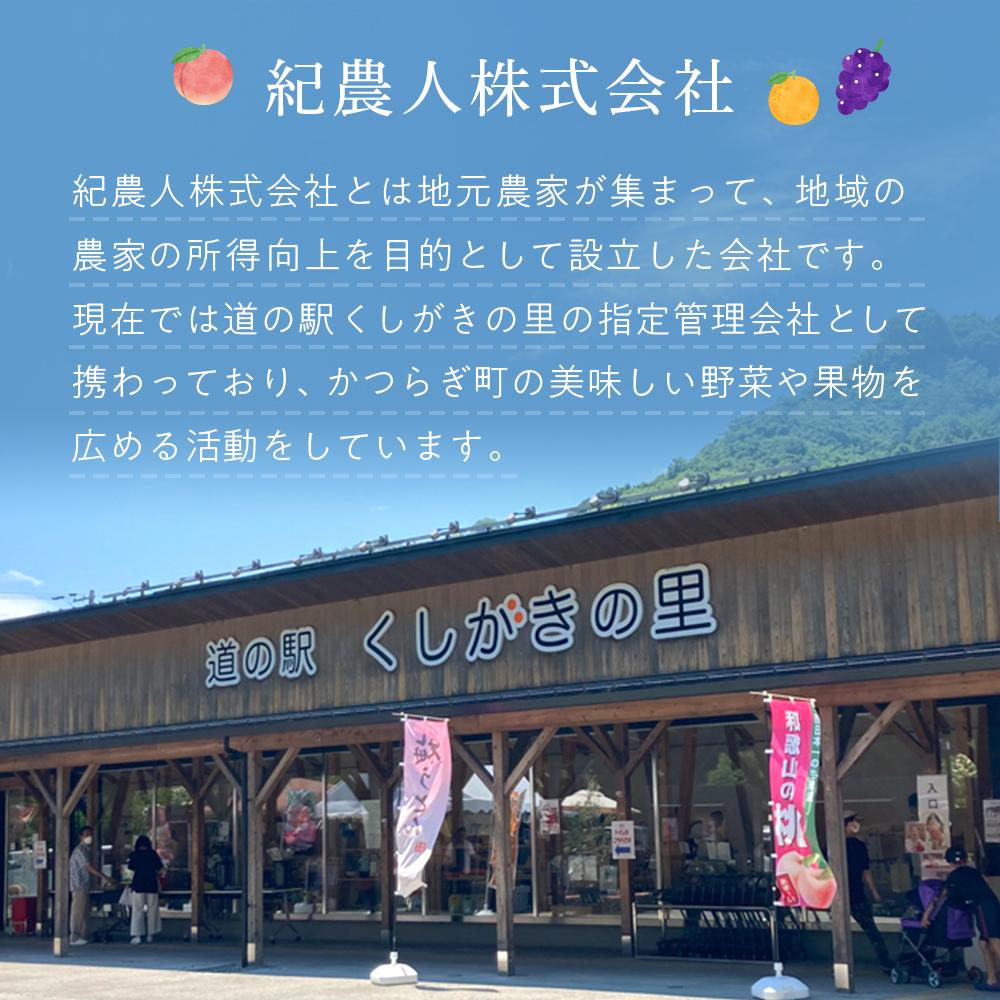 ［先行予約］［2026年11月初旬から11月末頃順次発送］ 和歌山県産温州みかん 約5kg（40個～60個）秀品 こだわり農家厳選！［KG31］