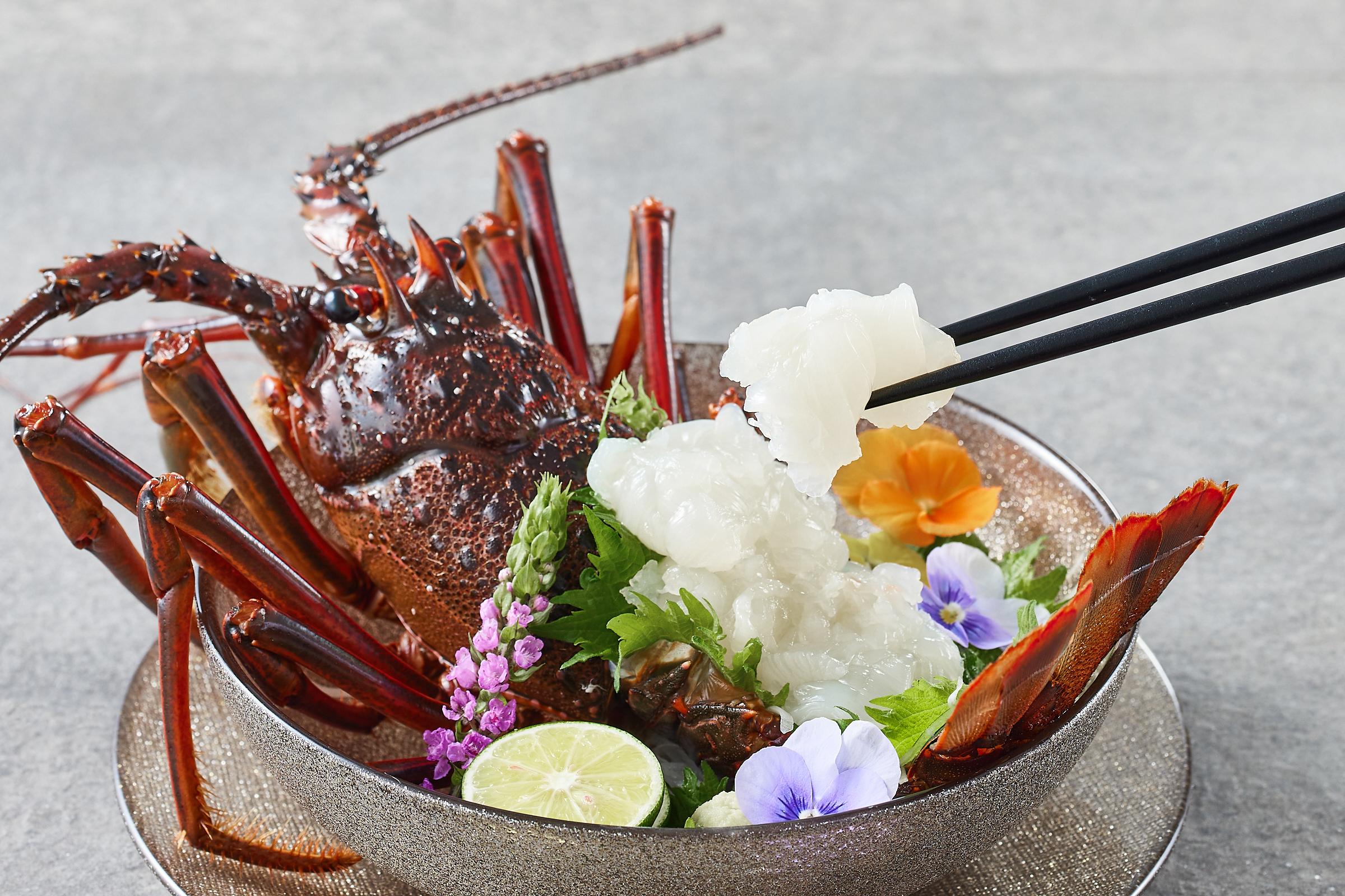 【12月末まで限定寄付額】【年内発送可】【訳あり】天然 活 伊勢海老 約2kg（ 5～10尾 大きさ 不揃い ）南紀黒潮イセエビ 年末年始 お正月 お届け可｜ 期間限定 漁師直送 海鮮 海老 とれたて 人気