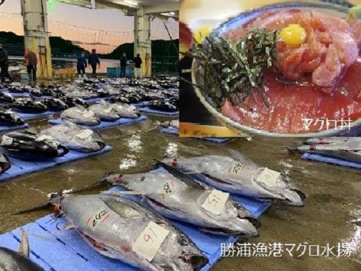 【那智勝浦町、白浜町、上富田町】JTBふるさと旅行券（紙券）450,000円分