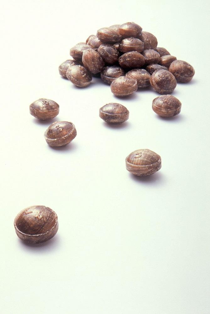 [まとめ・大量]黒あめ那智黒１２０ｇ×１２０袋