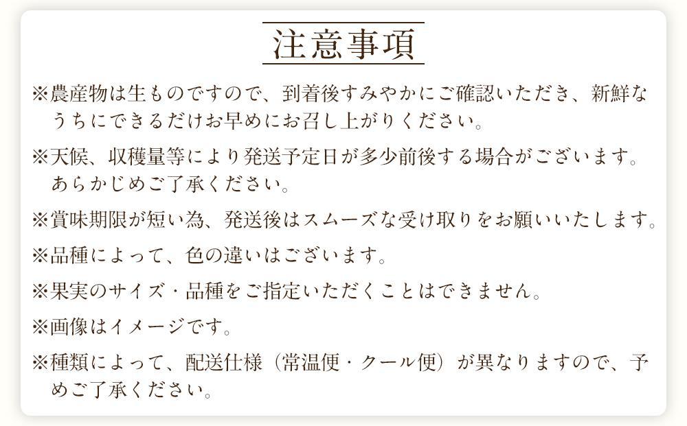 定期便全3回 【2月・3月・4月発送】 和歌山の春の柑橘 （ポンカン・はるか・ブラッドオレンジ）秀品【TM173】