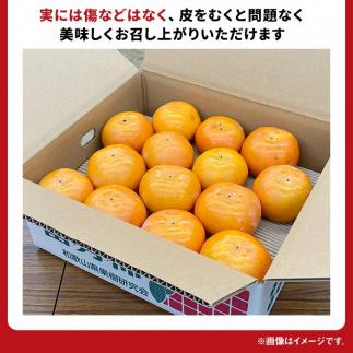 ［2026年11月上旬以降発送］◆先行予約◆和歌山県産 富有柿＜ご家庭用＞約7.5kg 満杯詰め［MG2］